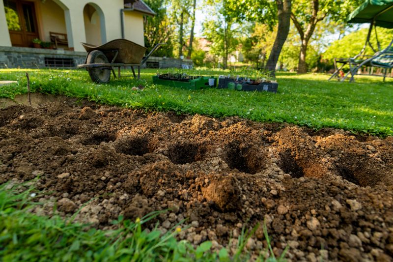 Dirt Backfilling