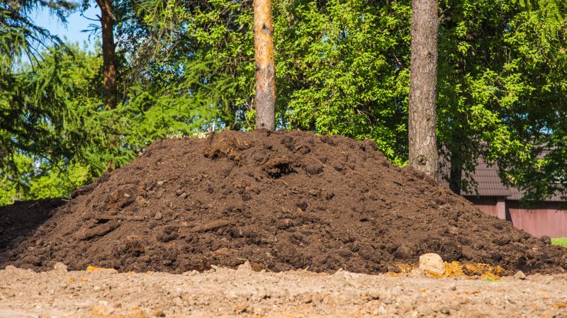 Dirt Backfilling