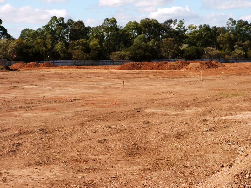 Backfilled Area with Vegetation