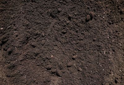 Moisture Content in Soil