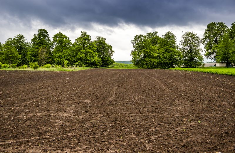 Slope Clearing in Marietta, GA
