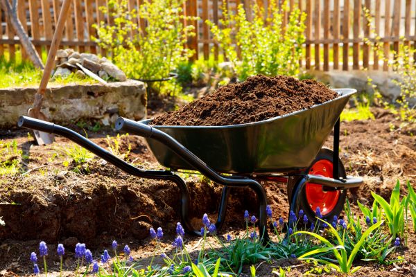 Fill Dirt Application